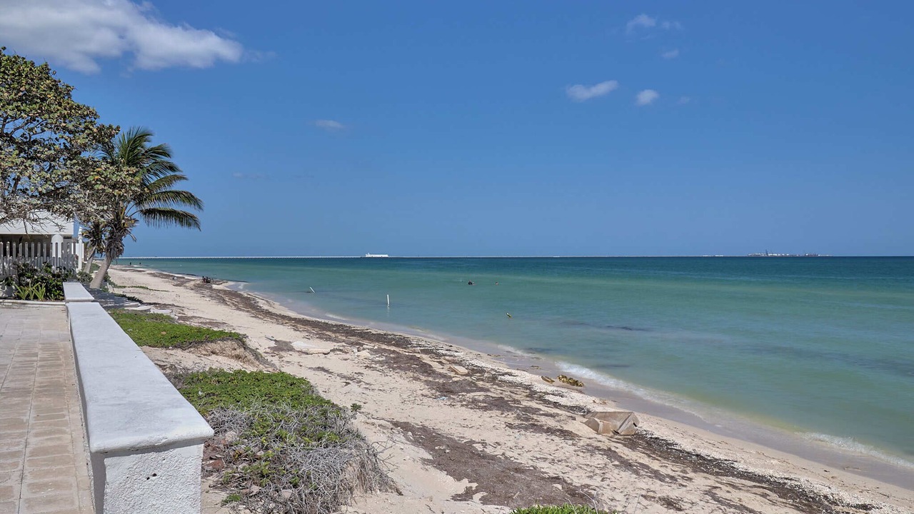 Photo of Others in Chicxulub Puerto