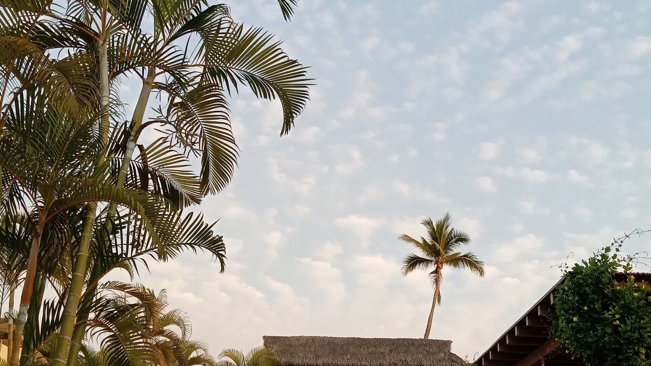 Photo of Outdoor in Manzanillo