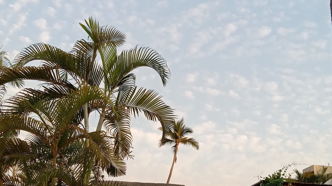 Photo of Outdoor in Manzanillo