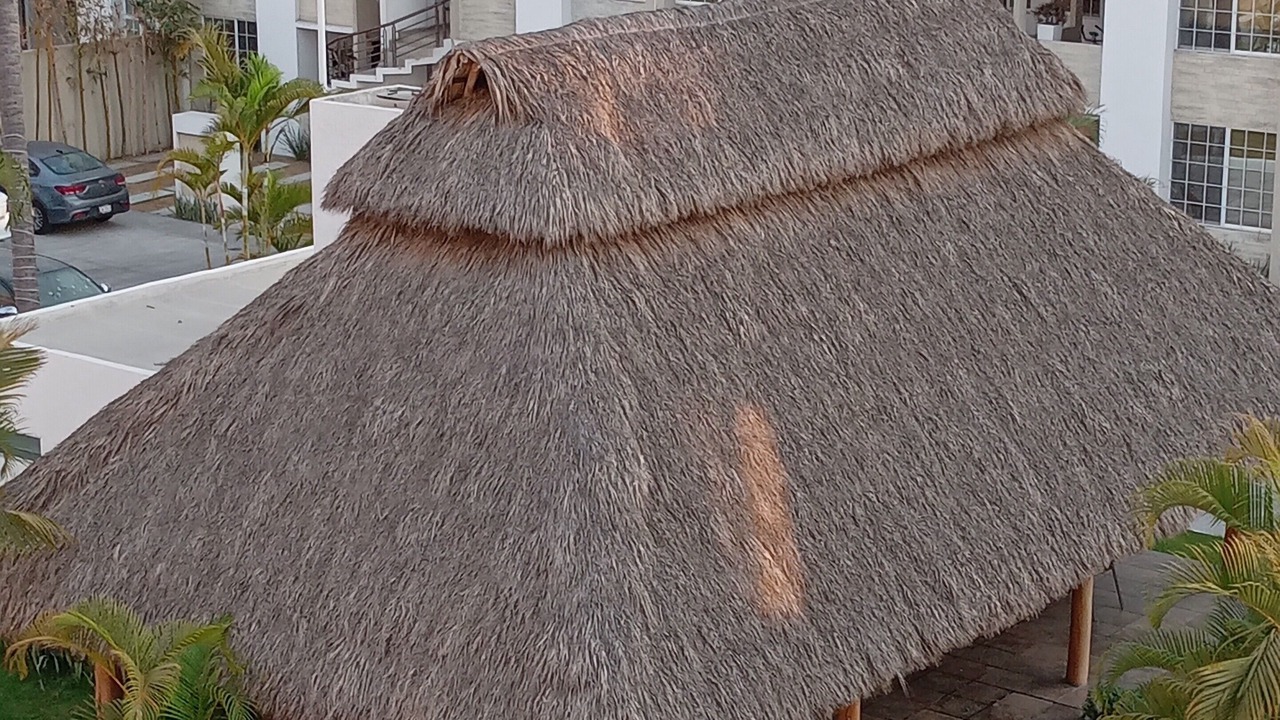 Photo of Outdoor in Manzanillo