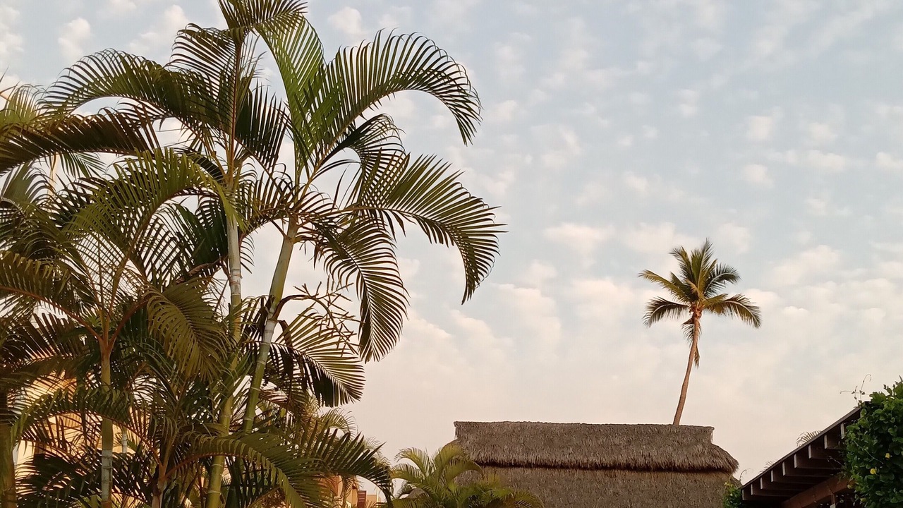 Photo of Outdoor in Manzanillo
