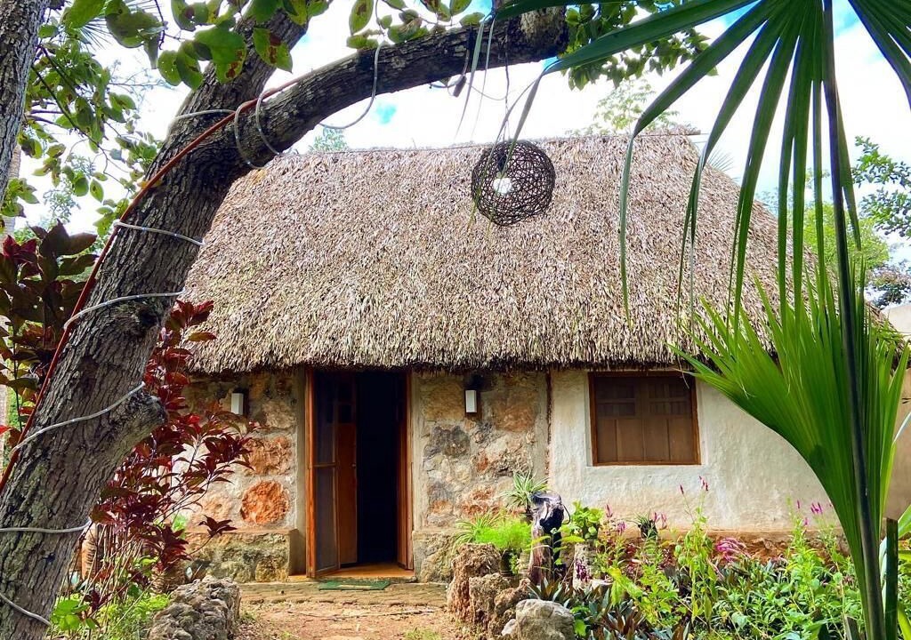 Photo of Outdoor in Tzucacab