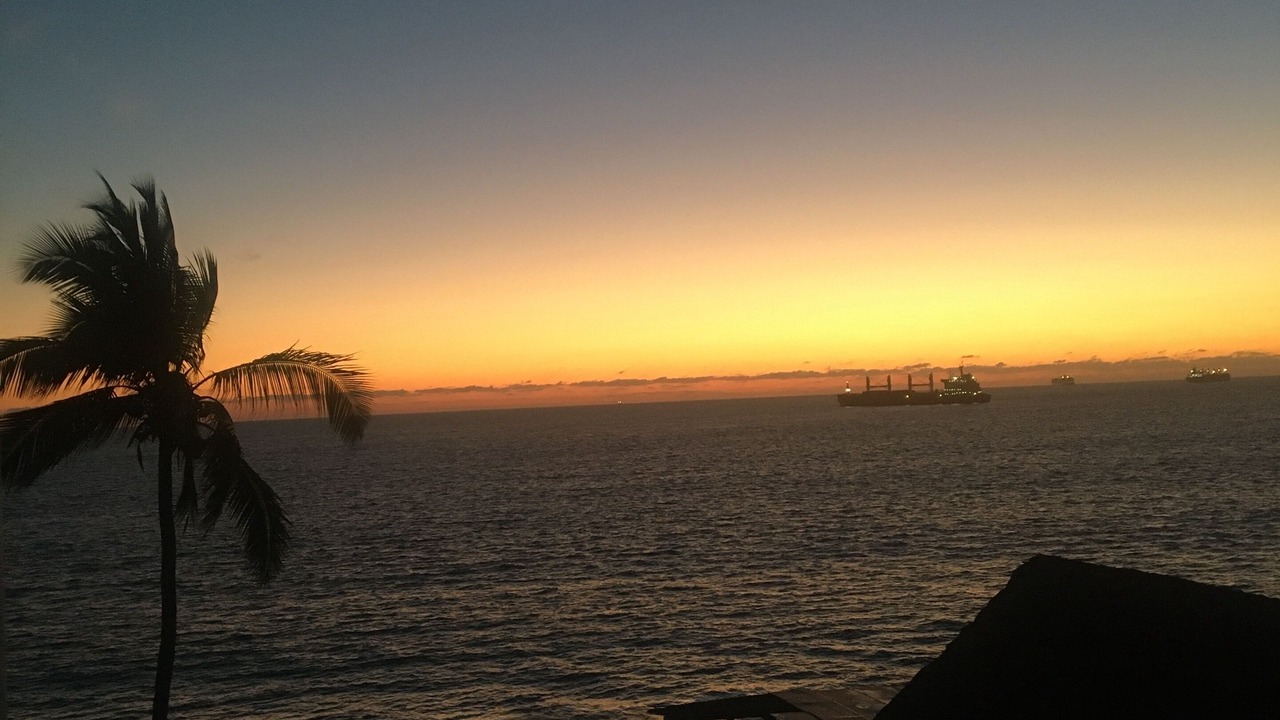Photo of Others in Manzanillo