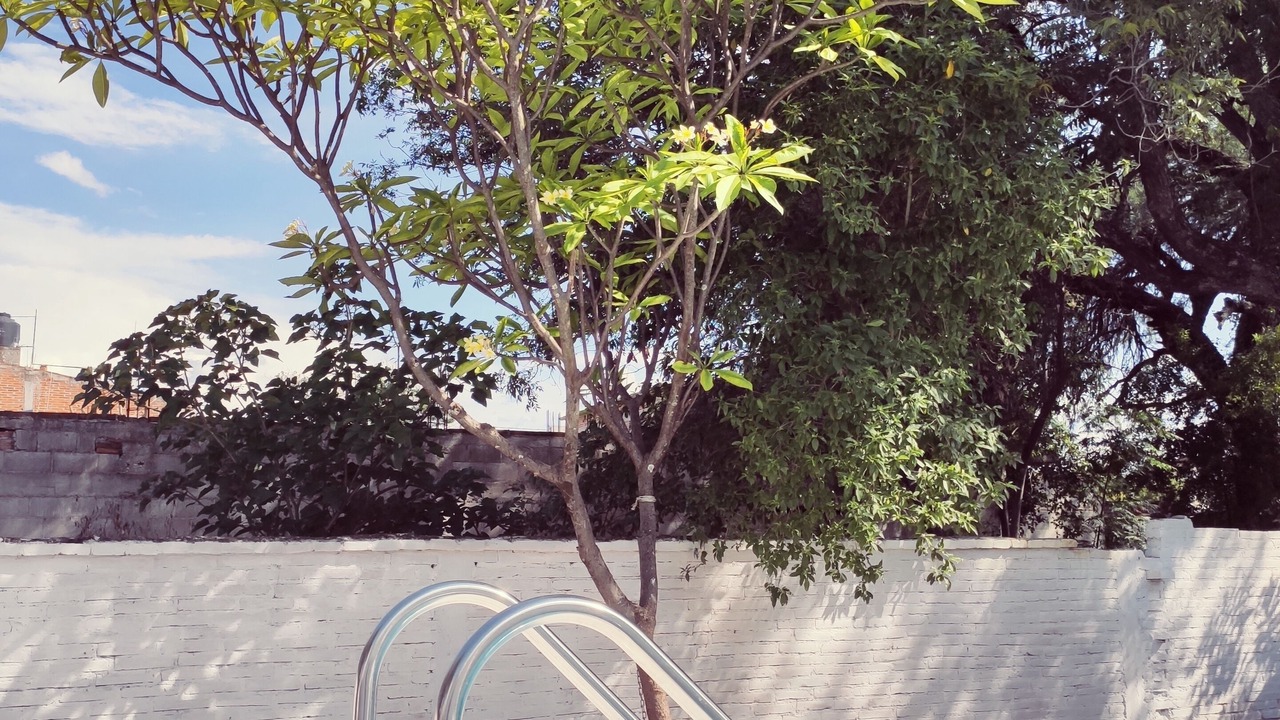 Photo of Outdoor in Ciudad Fernandez