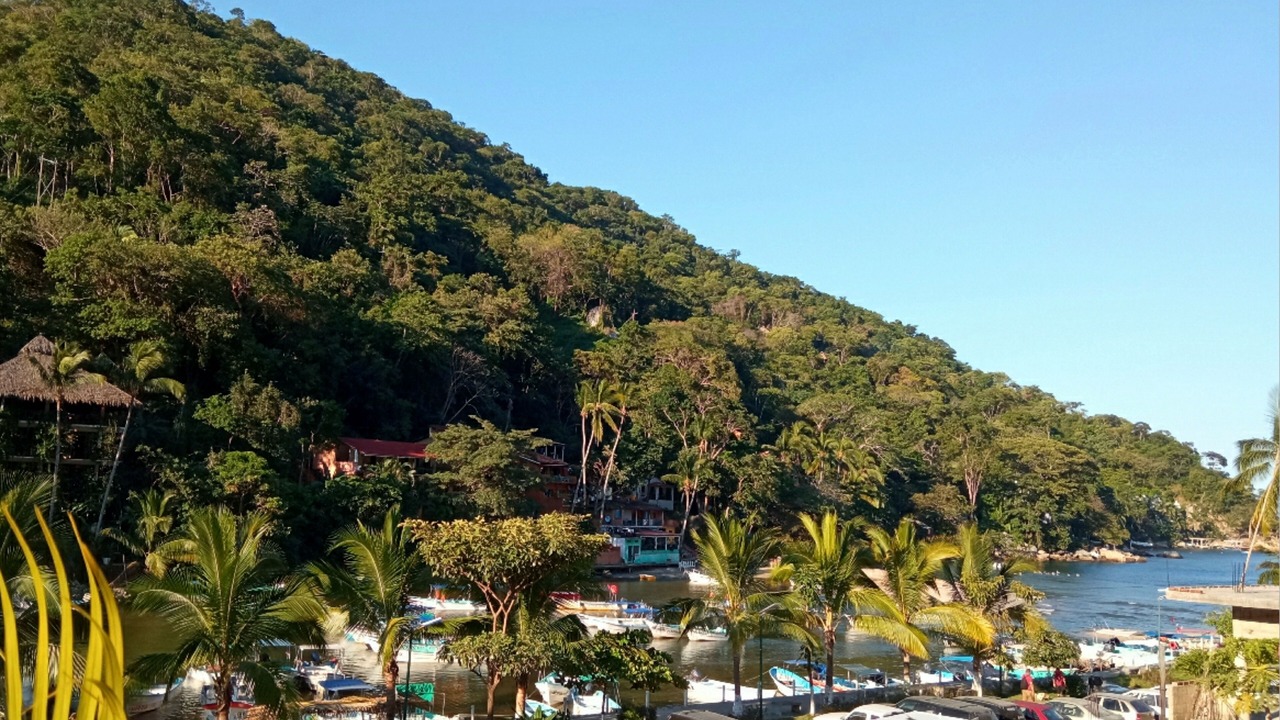 Photo of Others in Boca de Tomatlan