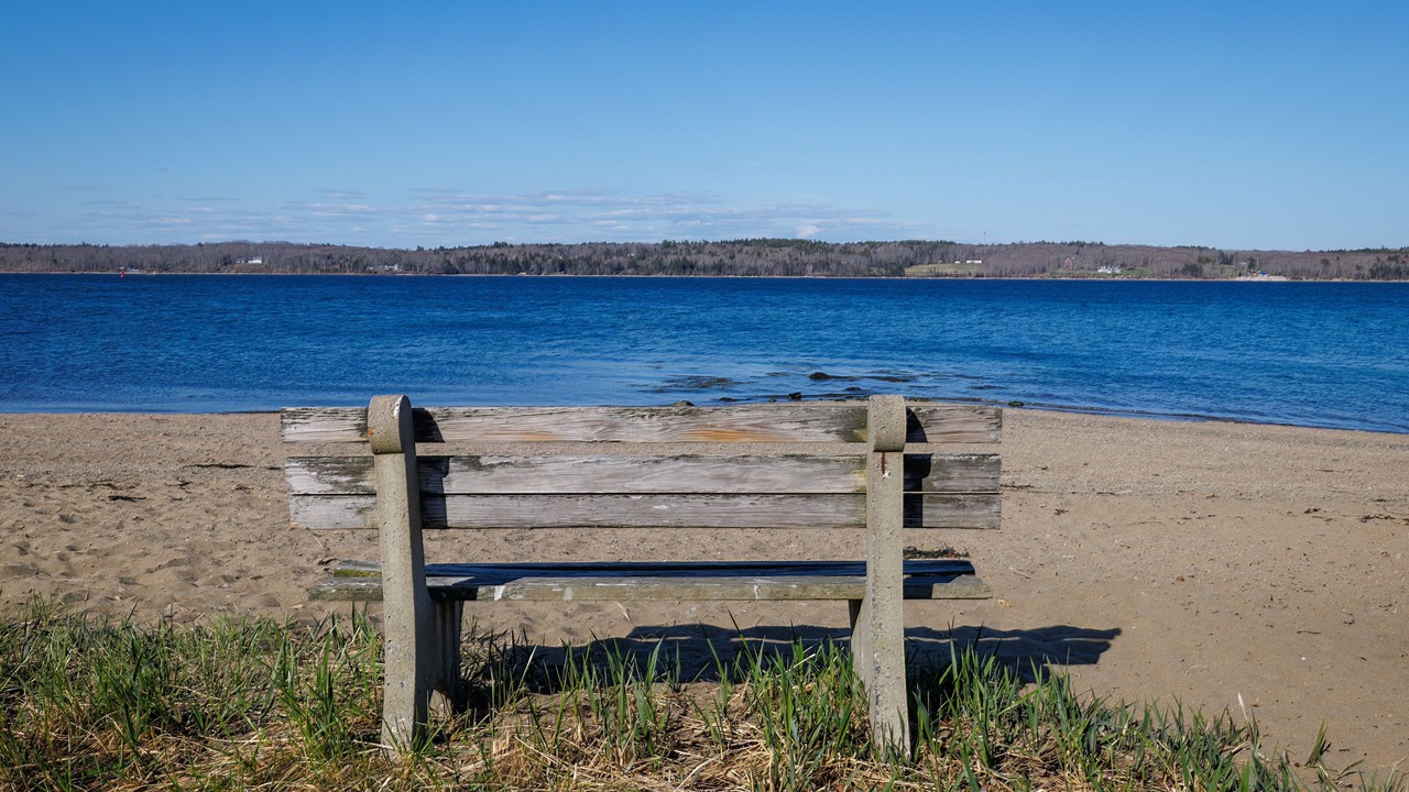 Photo of Others in Sandy Point