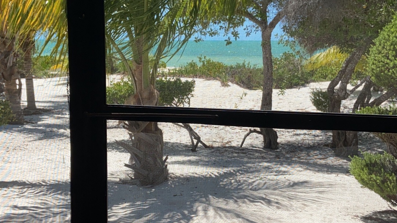 Photo of Outdoor in Celestun