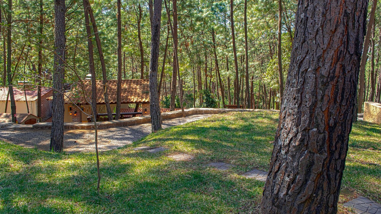 Photo of Outdoor in Mazamitla