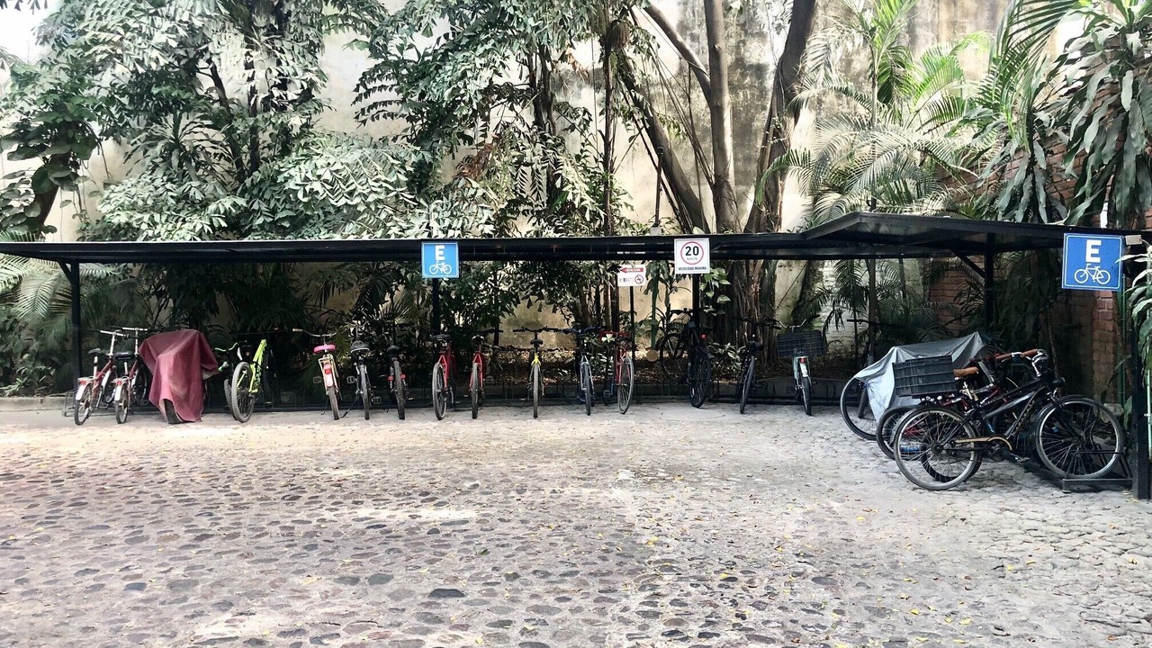 Photo of Outdoor in Diaz Ordaz