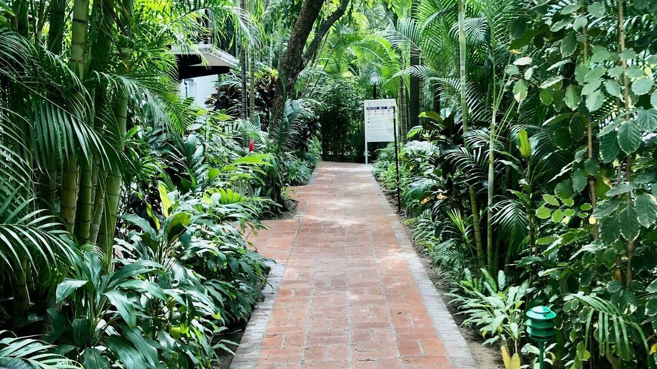 Photo of Outdoor in Diaz Ordaz