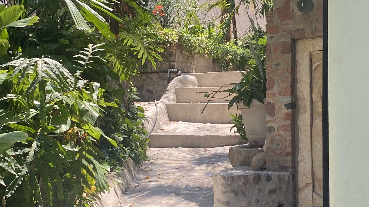 Photo of Outdoor in Downtown Puerto Vallarta