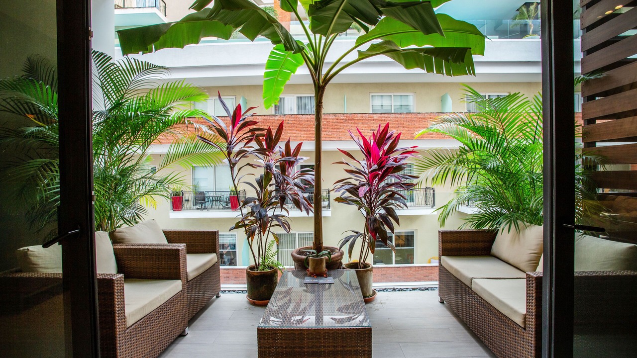Photo of Patio Balcony in Emiliano Zapata