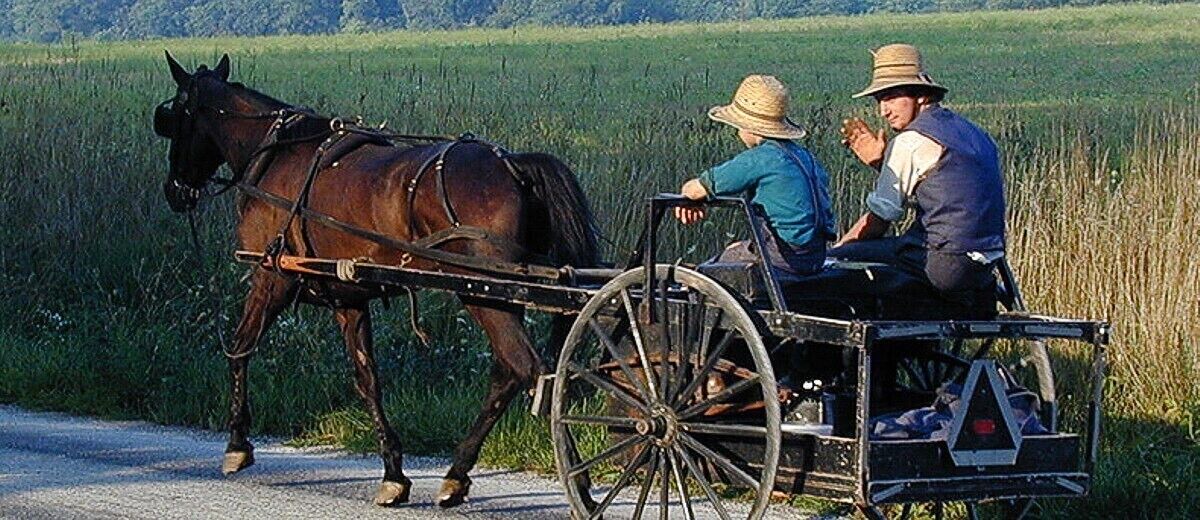 Photo of Others in Cynthiana