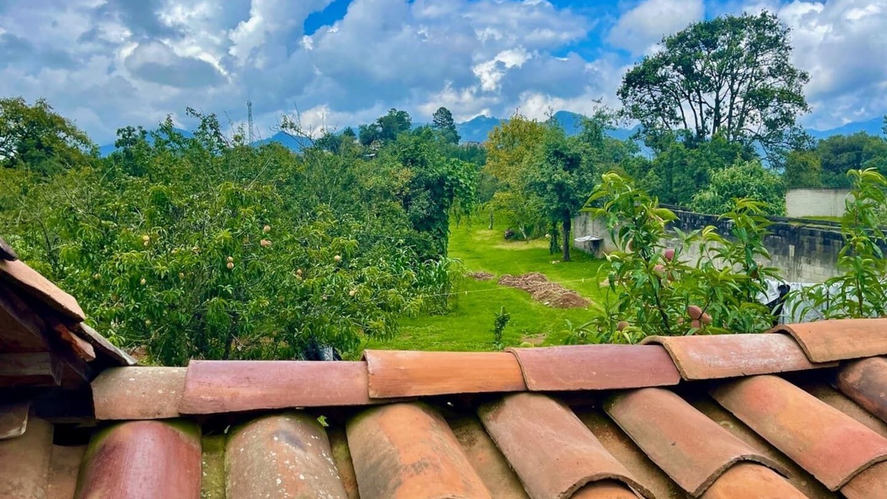 Photo of Outdoor in Zacatlan