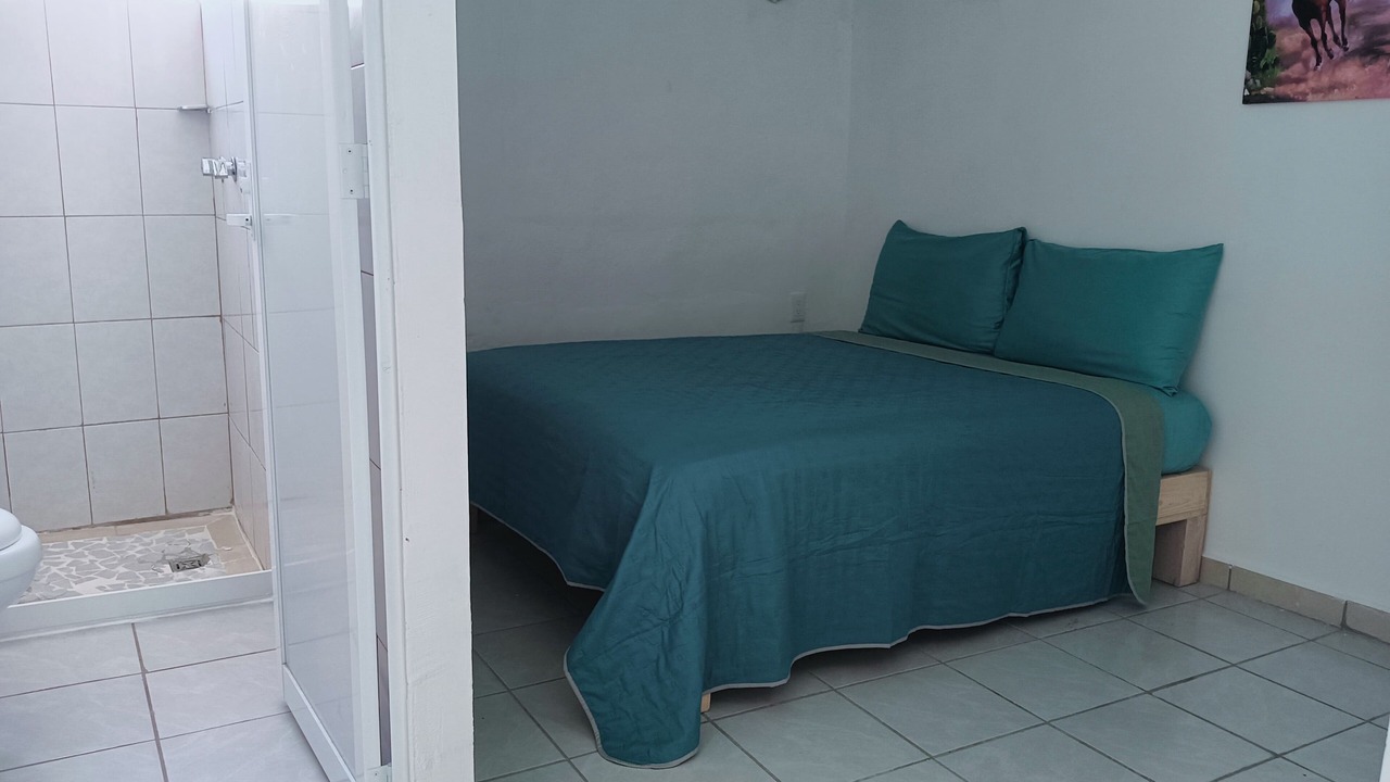 Photo of Bedroom in Downtown Puerto Vallarta