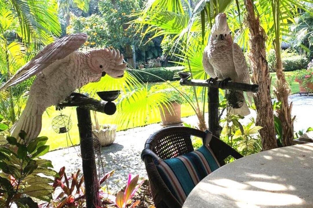 Photo of Outdoor in Cuernavaca