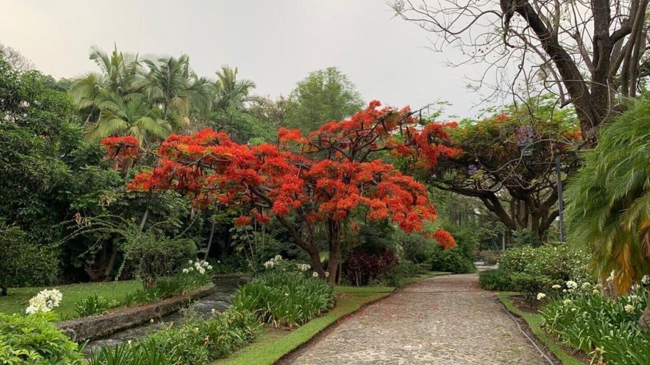 Photo of Outdoor in Cuernavaca