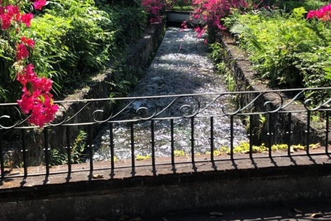 Photo of Outdoor in Cuernavaca