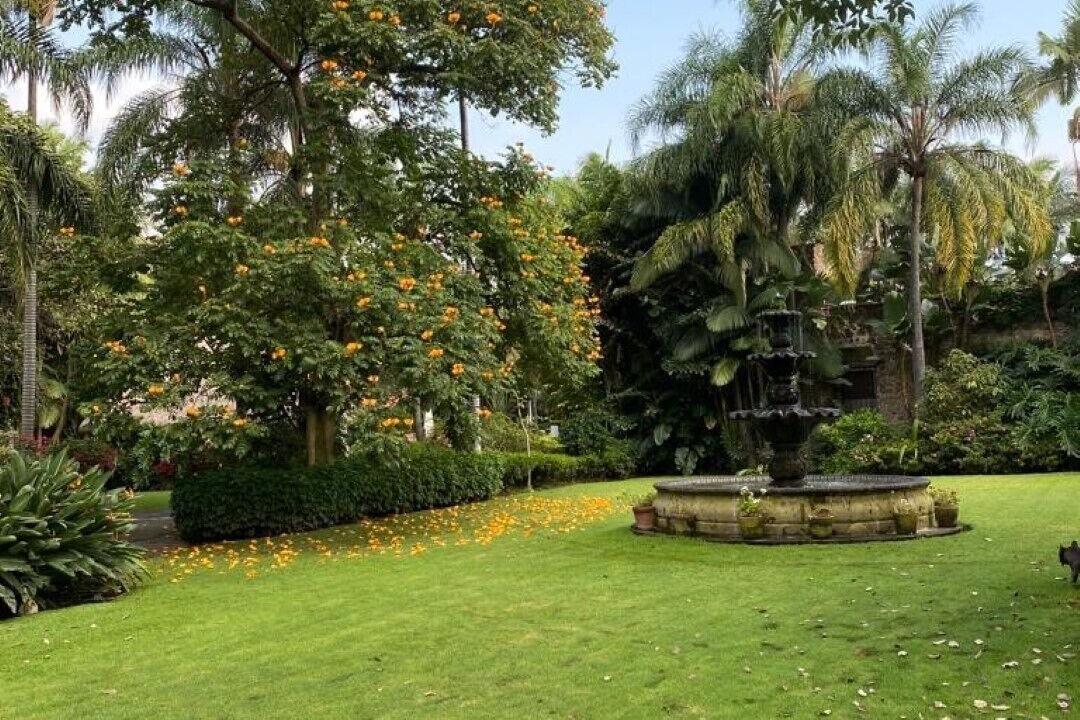 Photo of Outdoor in Cuernavaca