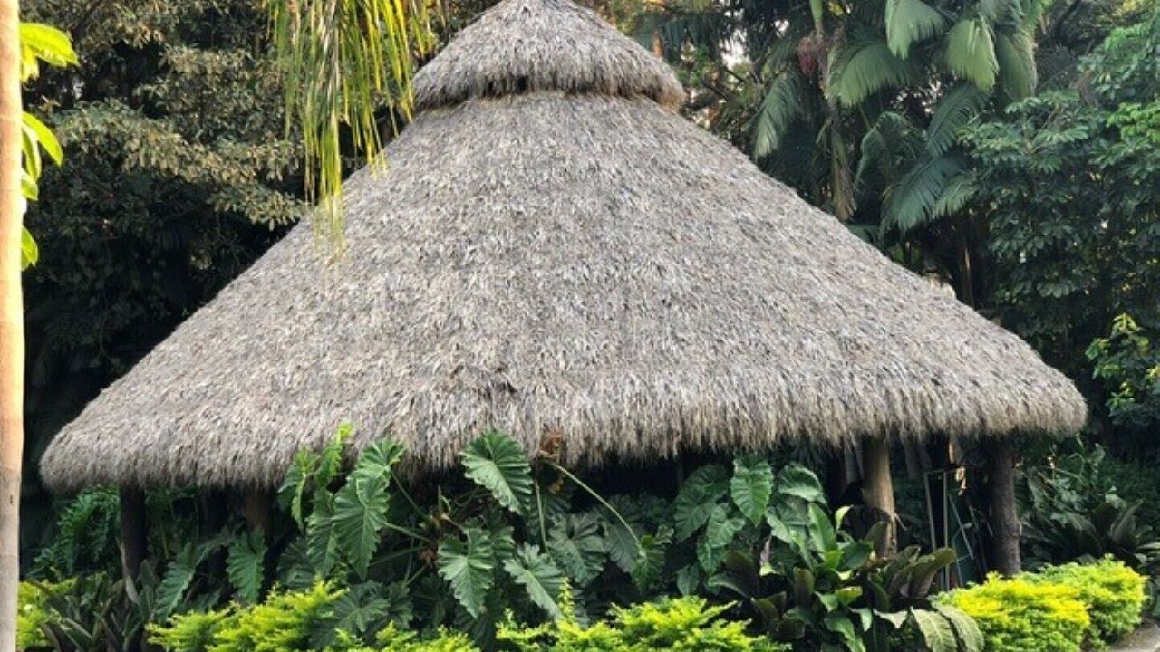 Photo of Outdoor in Cuernavaca