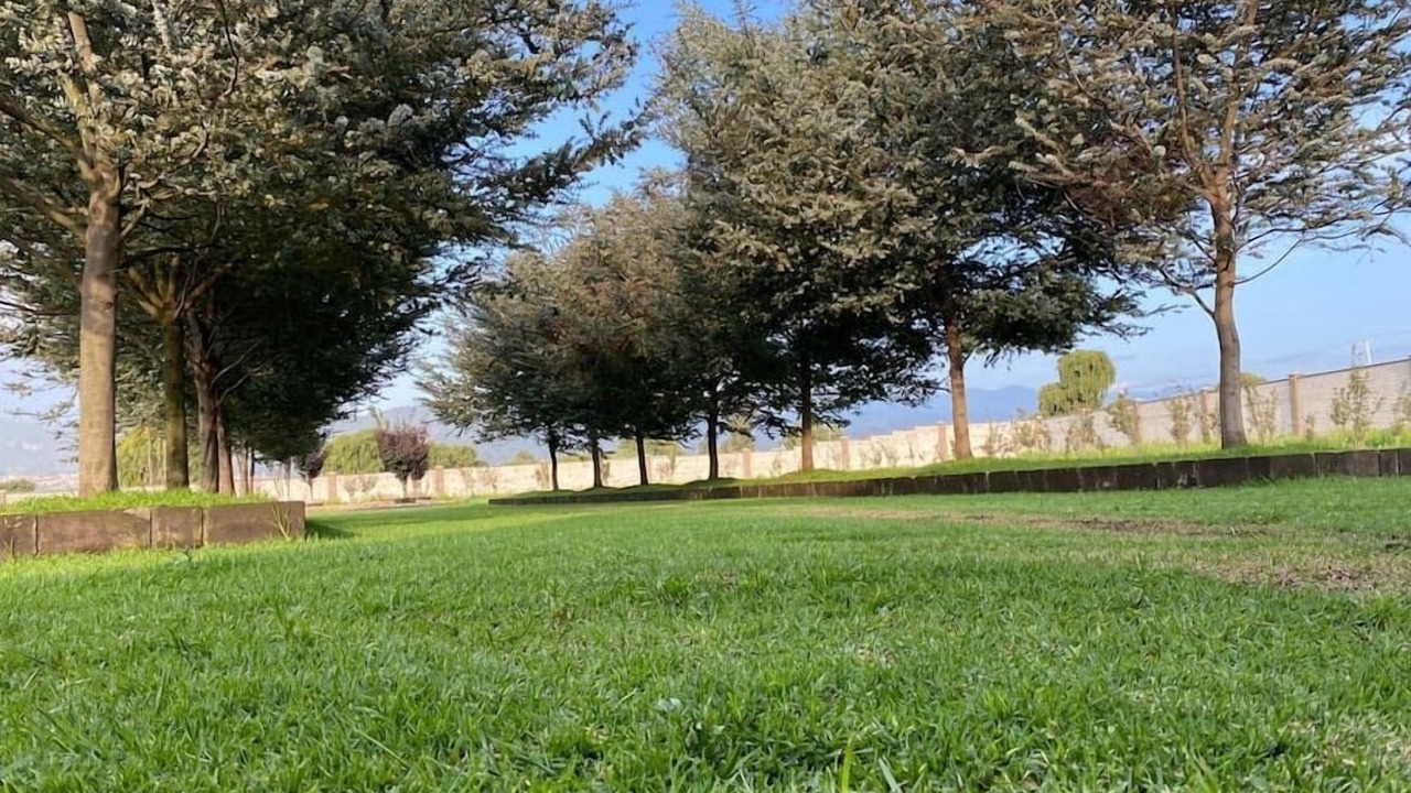 Photo of Outdoor in Mexico