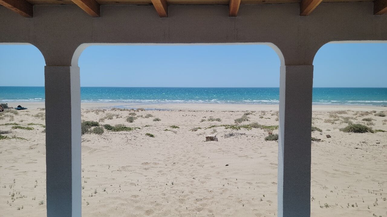 Photo of Others in Puerto Penasco