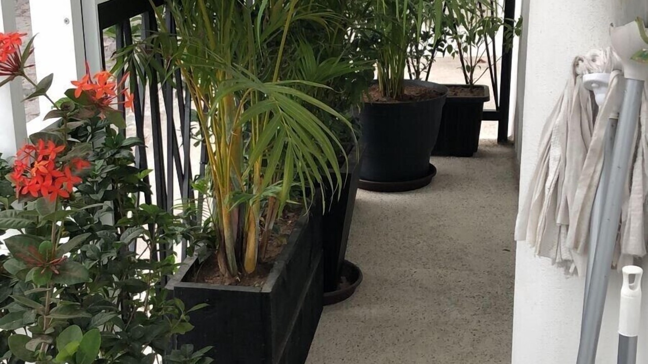 Photo of Patio Balcony in Colonia 5 de Diciembre