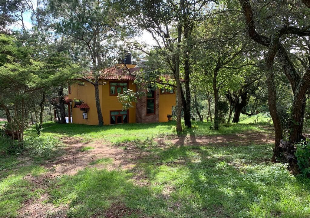 Photo of Outdoor in Mazamitla