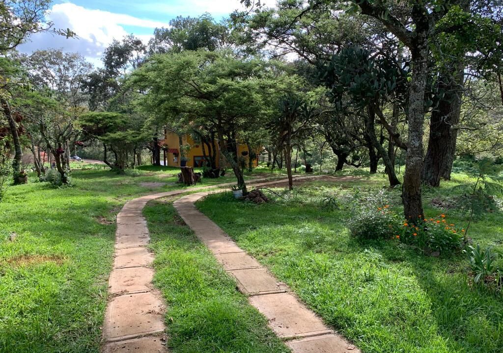 Photo of Outdoor in Mazamitla