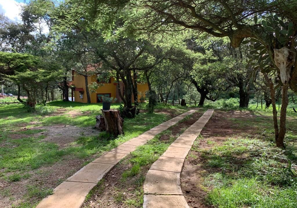 Photo of Outdoor in Mazamitla