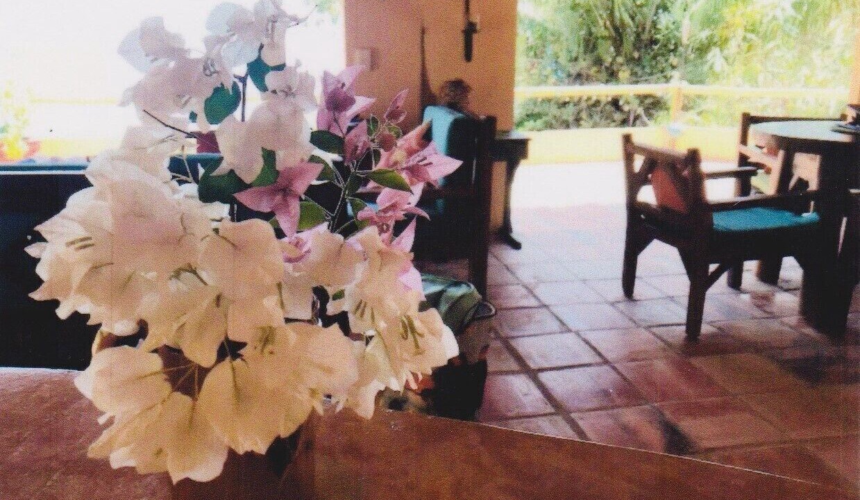 Photo of Outdoor in Cabo Corrientes