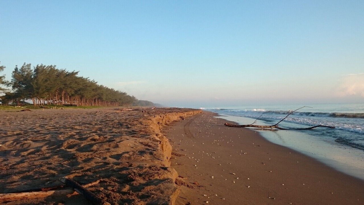 Photo of Others in Tuxpan