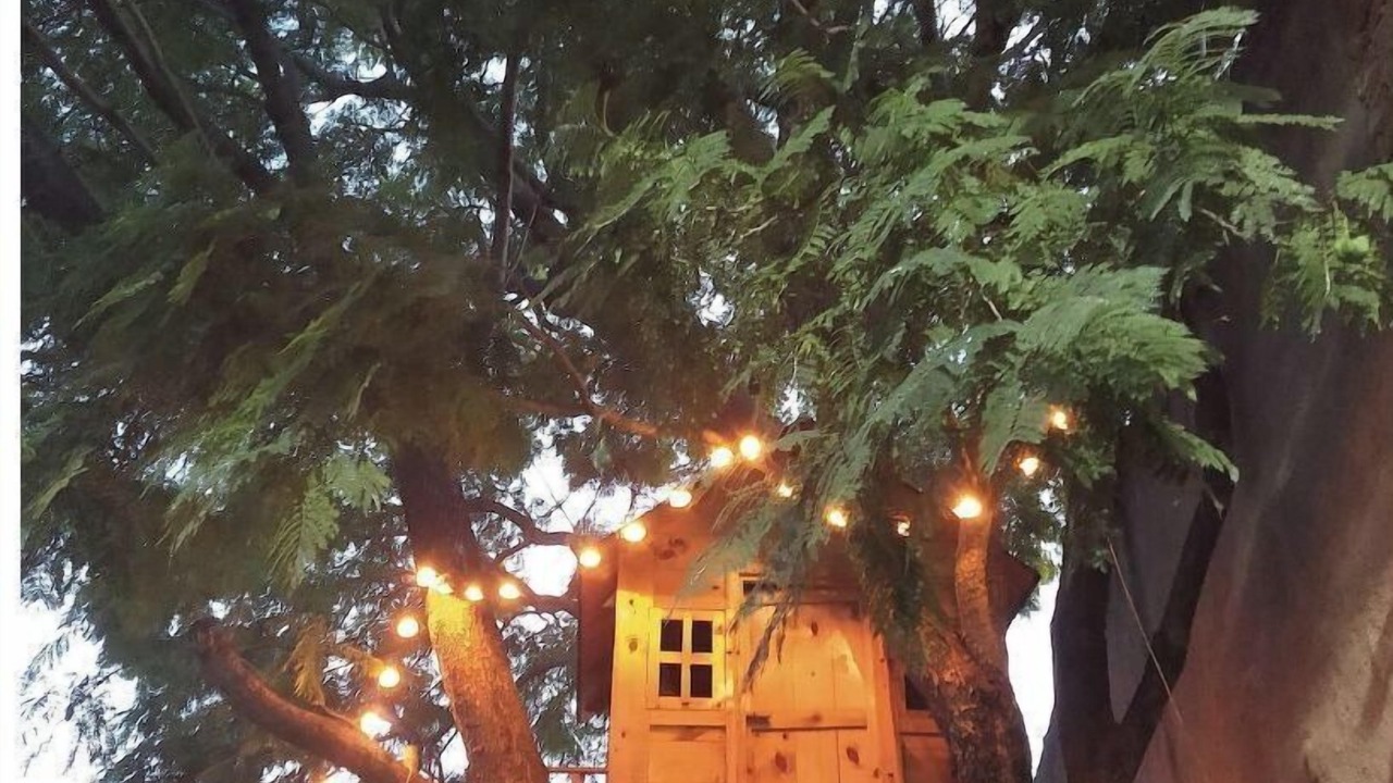 Photo of Outdoor in Zapopan