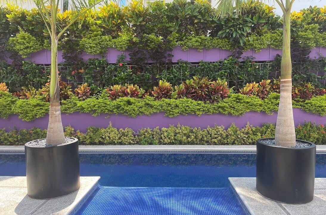 Photo of Outdoor in Puerto Vallarta