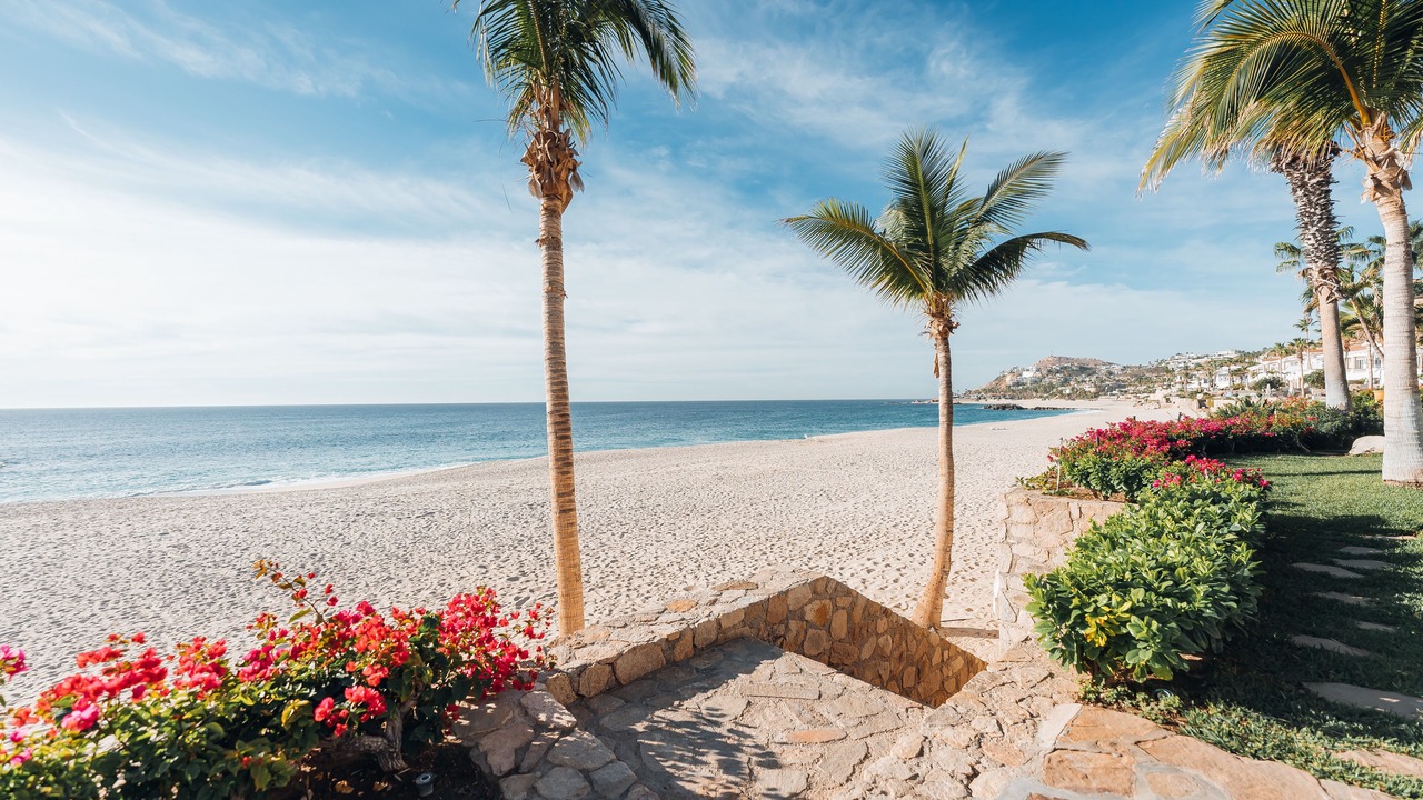 Photo of Others in Palmilla