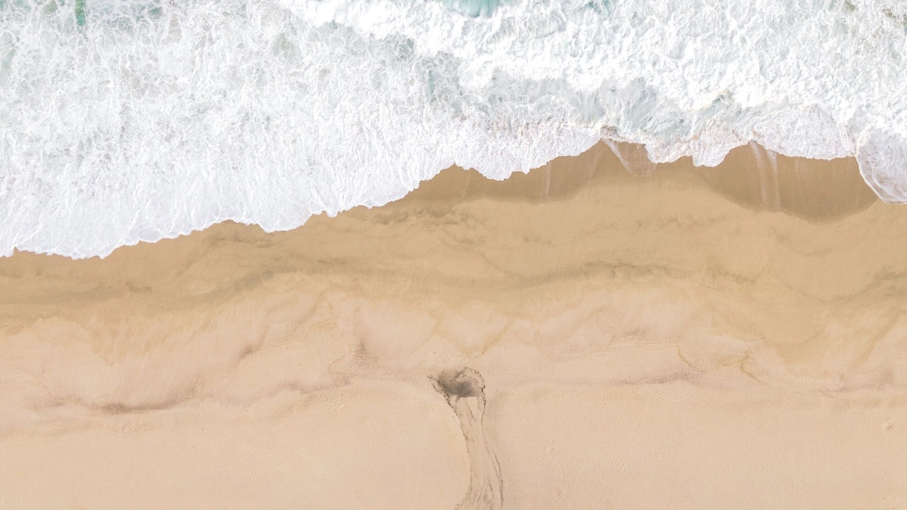 Photo of Others in Palmilla