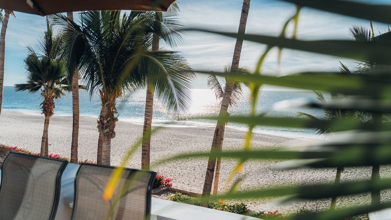 Photo of Others in Palmilla