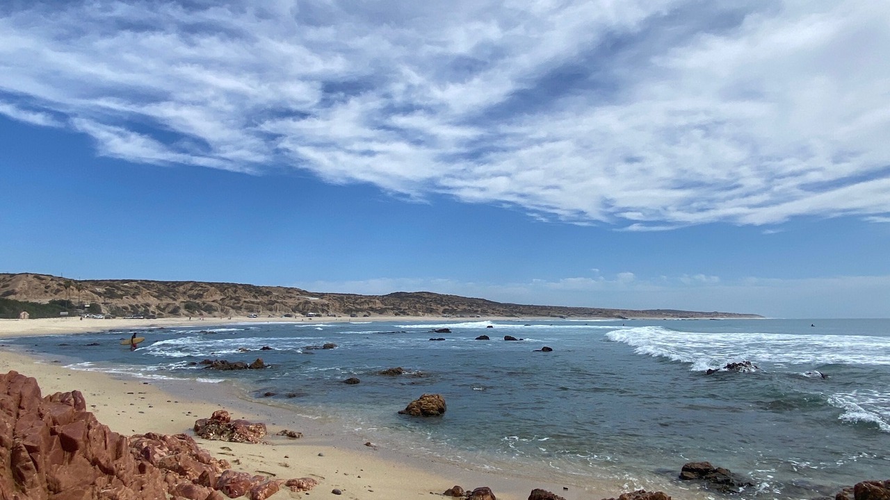 Photo of Others in San Jose del Cabo