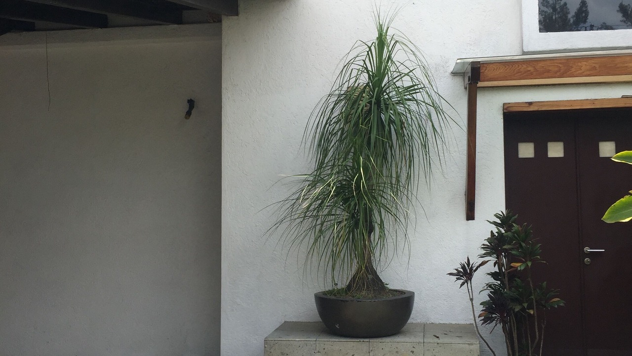Photo of Outdoor in Cordoba