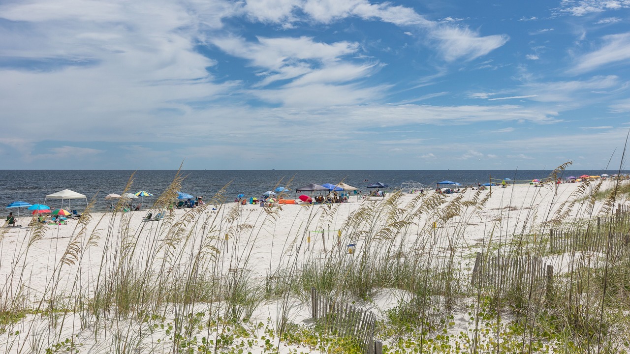 Photo of Others in Fort Morgan