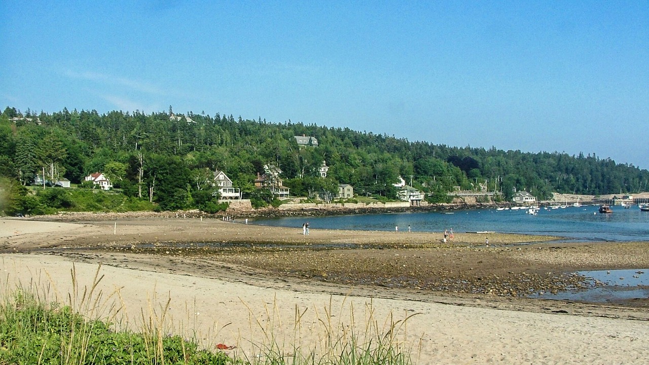 Photo of Others in Seal Harbor