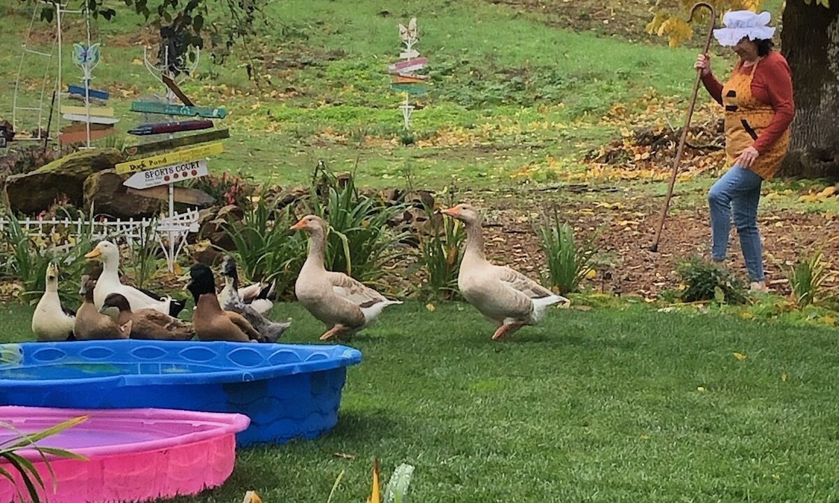 Photo of Outdoor in West Salem