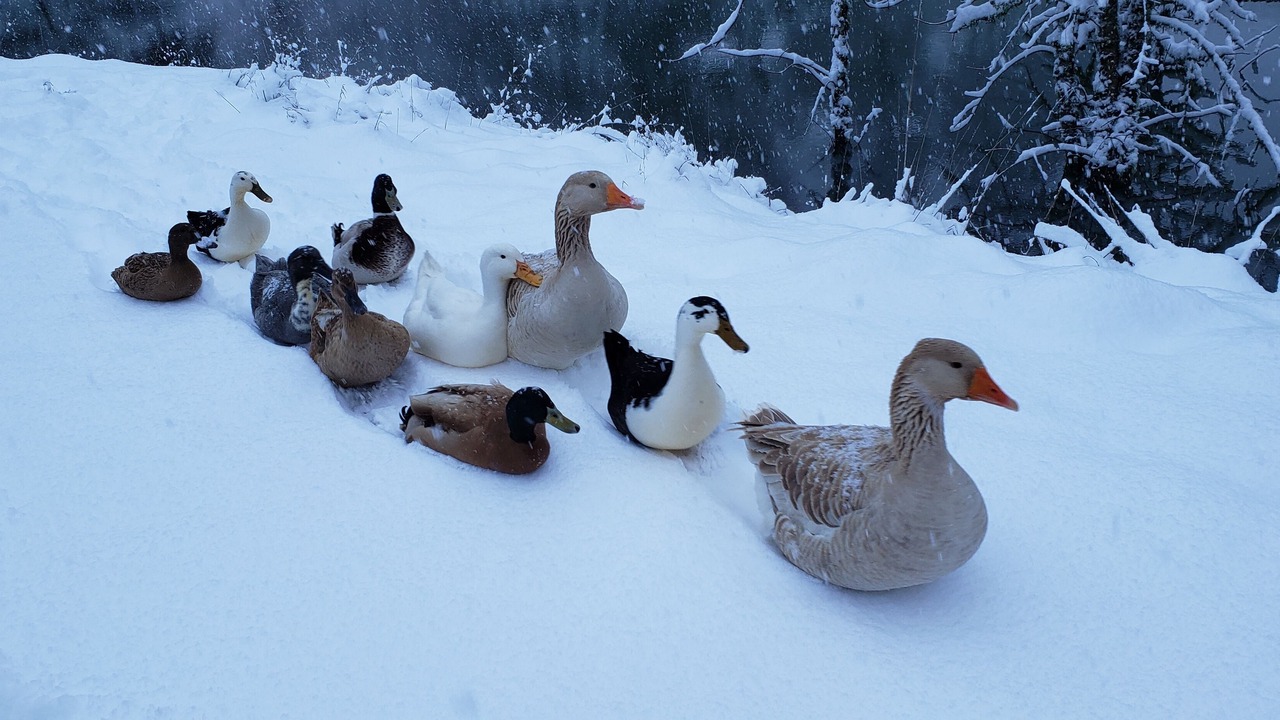 Photo of Others in West Salem