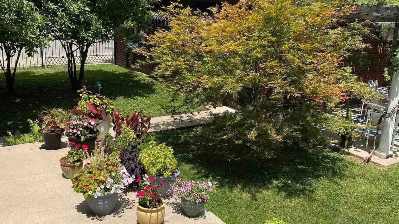 Photo of Outdoor in Covington