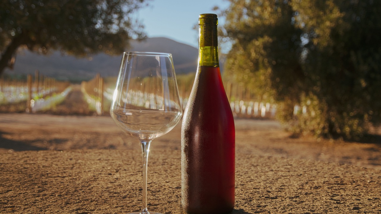 Photo of Outdoor in Valle de Guadalupe