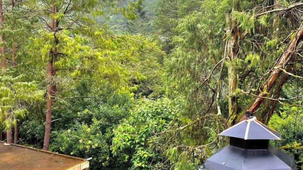 Photo of Outdoor in Pinal de Amoles