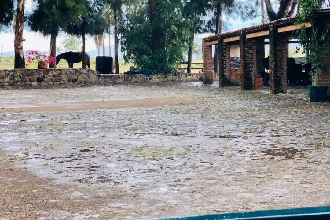 Photo of Outdoor in Tala