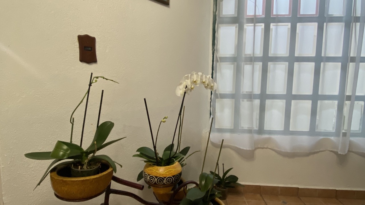 Photo of Others in Ciudad Hidalgo