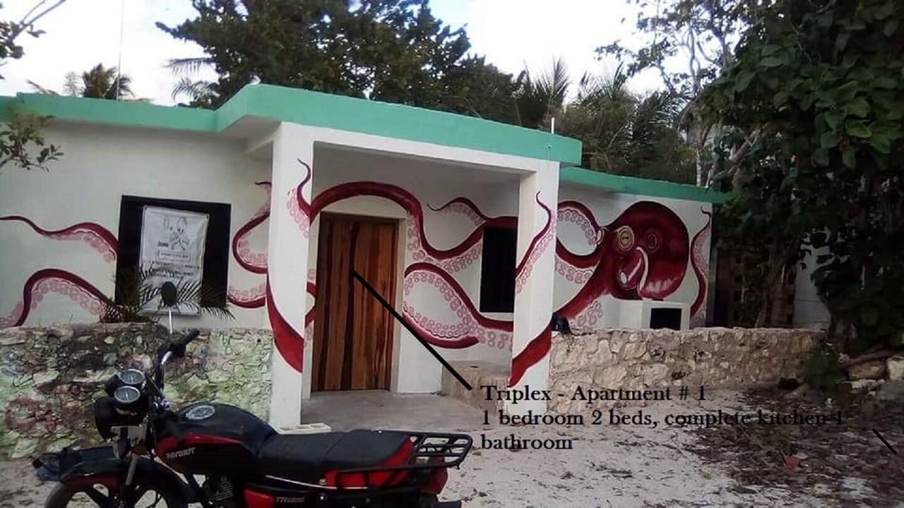 Photo of Outdoor in San Crisanto