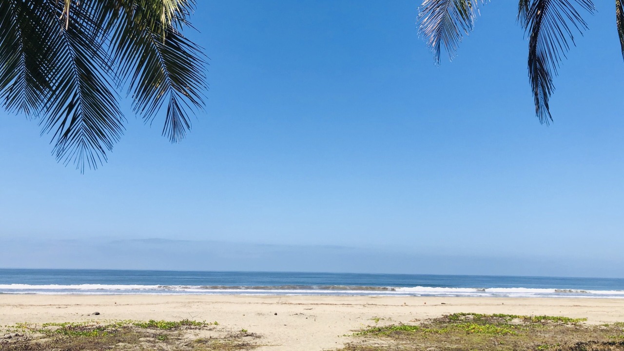 Photo of Others in Platanitos